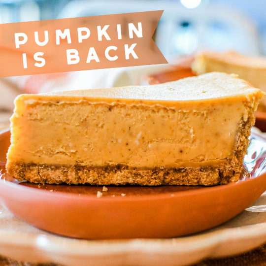 PUMPKIN IS BACK